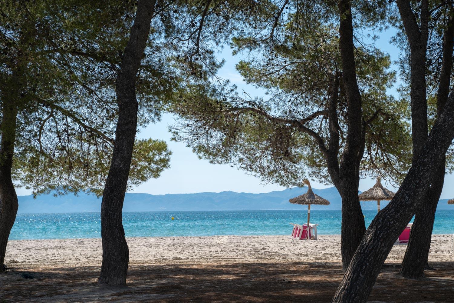 Ferrer Lime Playa De * Alcudia (Mallorca)